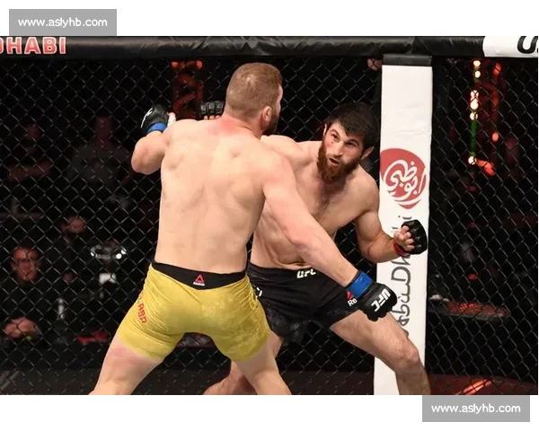 UFC丹叔对决猿人恩干努权力金钱与格斗话语权之争背后真相揭秘